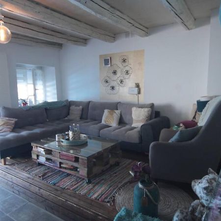 Appartement 90 M2 Vic-sur-Seille Εξωτερικό φωτογραφία