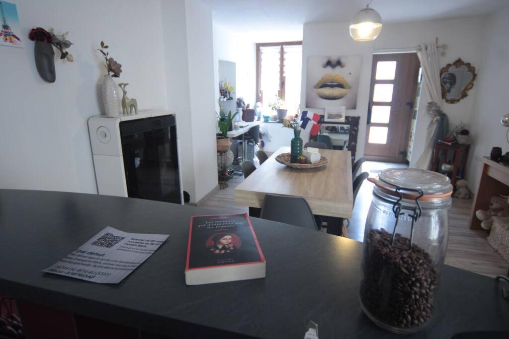 Appartement 90 M2 Vic-sur-Seille Εξωτερικό φωτογραφία