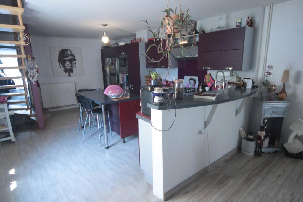 Appartement 90 M2 Vic-sur-Seille Εξωτερικό φωτογραφία